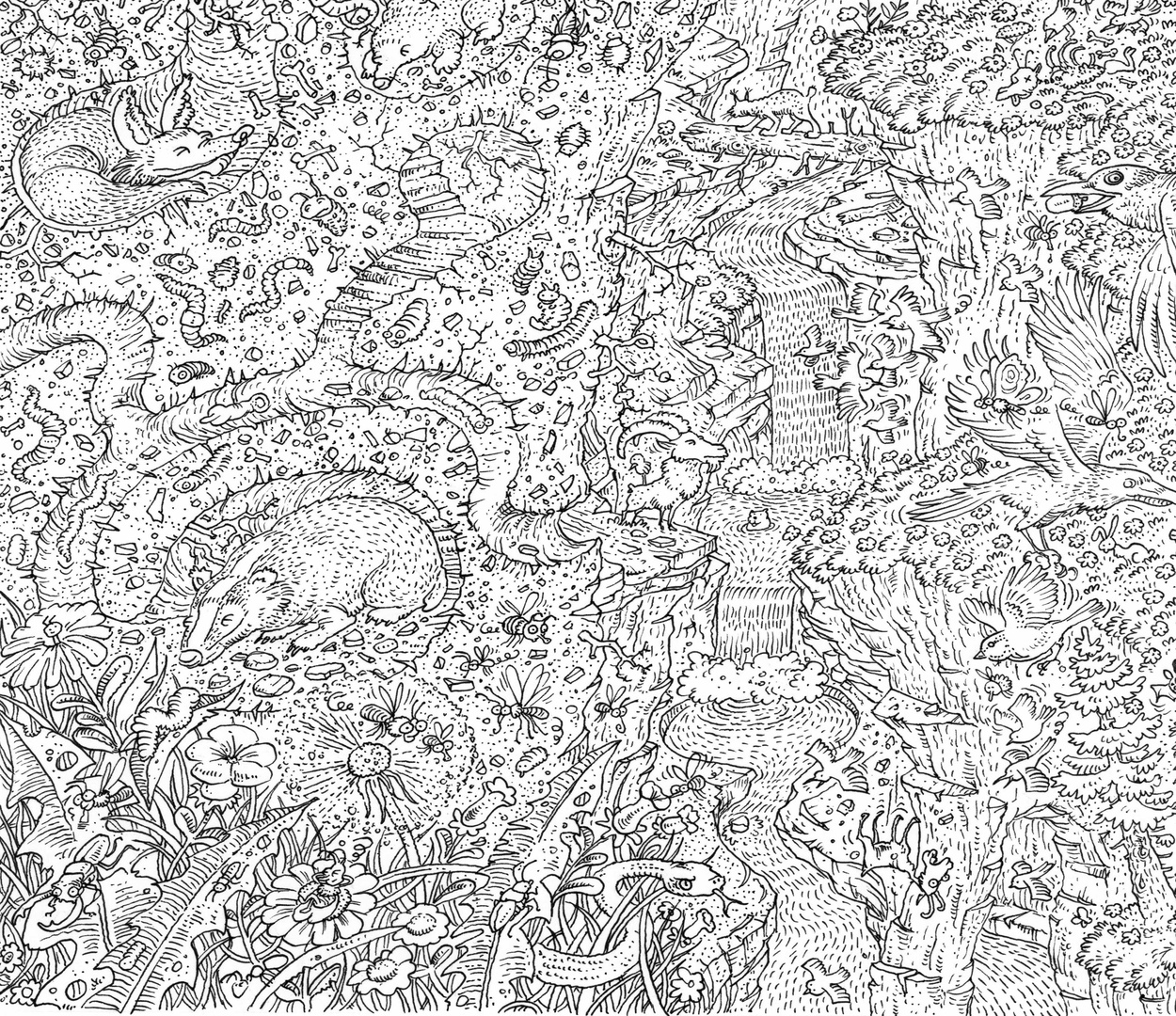 Le programme est en ligne!