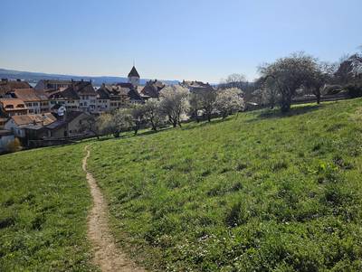 Nature en ville à Grandson : le Coteau derrière les Remparts