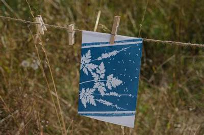 Fabrication d'un cyanotype