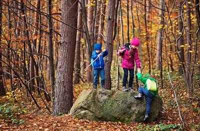 Brico-nature : exploration et création en forêt !