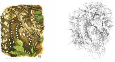 Quand la nature devient trait : croquis & observation avec Pierre Baumgart