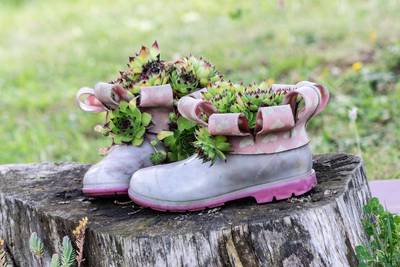 Atelier: fabrique ton pot de fleurs recyclé et plante des aromatiques