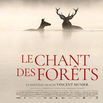 Projection du film "Le Chant des forêts", avec la présence d'Antoine Lavorel