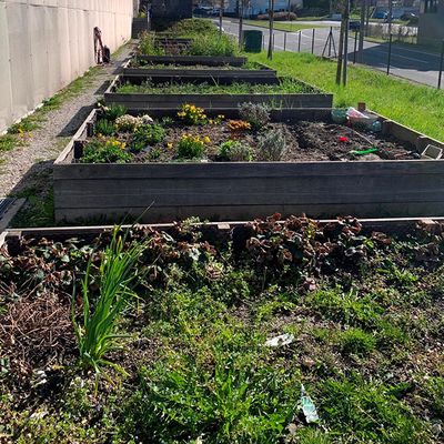 Visite des potagers d’Imaginart