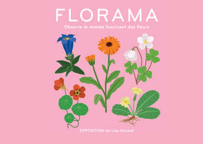 Visite commentée de l'exposition Florama par Lisa Voisard