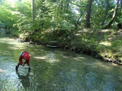 L'eau, source de vie