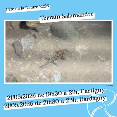 Sur le terrain avec NARIES - Salamandres à Cartigny