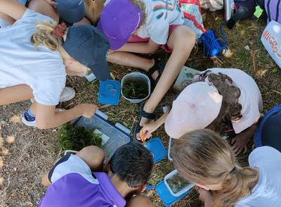 Atelier enfant : le monde invisible du Léman