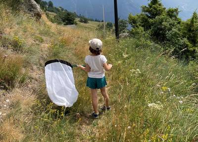 La colline aux papillons