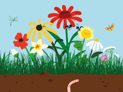 Soirée : la biodiversité dans vos jardins