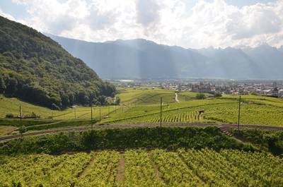 Des glaciers à la vigne: enquête sur un géotope à Aigle