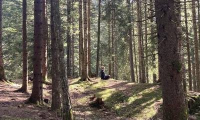 Méditation en pleine nature: initiation au yoga