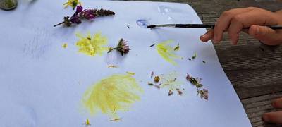Apprendre sur la forêt et la dessiner