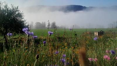 Création de bombes à graines