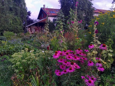 Balade poétique dans le jardin à l'écoute de ses sons