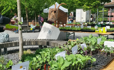 Marché de plantons ProSpecieRara