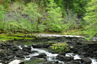 Le Doubs, une rivière aux enjeux multiples