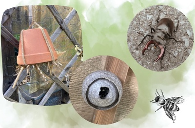 Accueillir la biodiversité - Jeu faune et abris