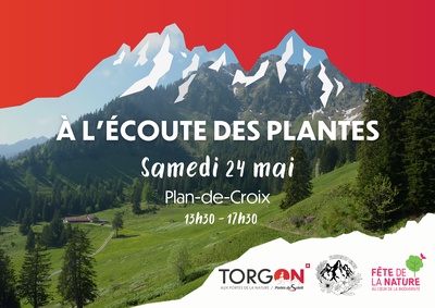 À l'écoute des plantes