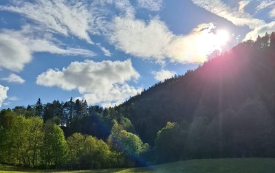 Au milieu de la nuit, au sein de la forêt au coeur de soi