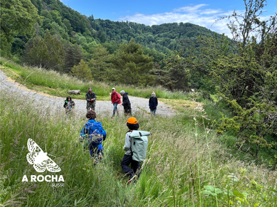 Un oeil dans la prairie & un coup de main à l'Arboretum