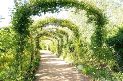 Vision thérapeutique de la nature, que dit la science ?