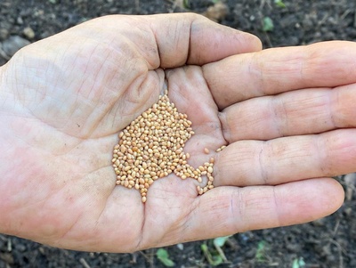Ouvrir l'oeil tout en jardinant avec nous