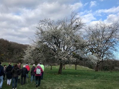 Différentes animations sur le site du Bois de Chênes