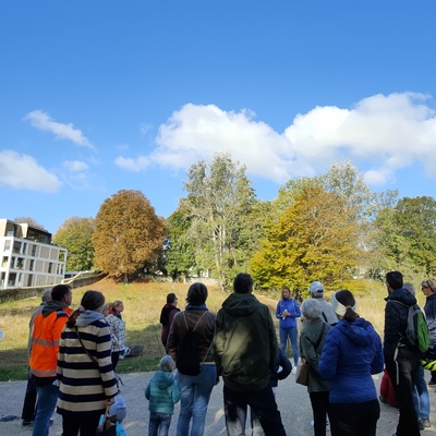 Balade sur le patrimoine arboré de Rolle Nord