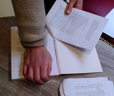 Atelier d'arpentage : lecture collective en extérieur