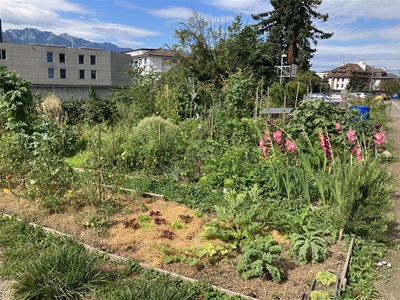 Le jardin cache des trésors... naturels !