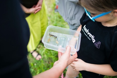 Les secrets de la salamandre et des milieux humides