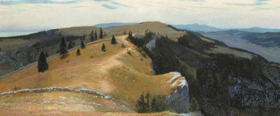 Quand la forêt reprend ses droits (Tête de Ran)