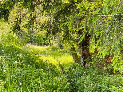 Viens Voir - Arrête Voir !