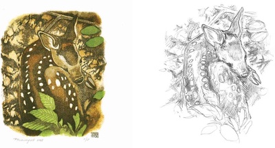 Quand la nature devient trait : croquis & observation avec Pierre Baumgart