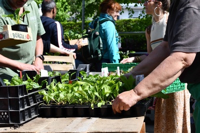 Marché de plantons ProSpecieRara