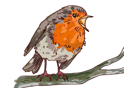 Le réveil des oiseaux
