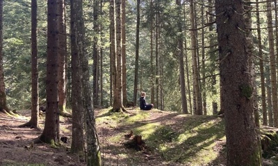 Méditation en pleine nature: intiation au yoga