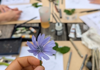 Atelier de dessin botanique - enfants