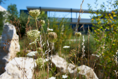 Visite guidée du jardin de l'UICN