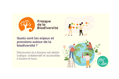 Fresque de la Biodiversité