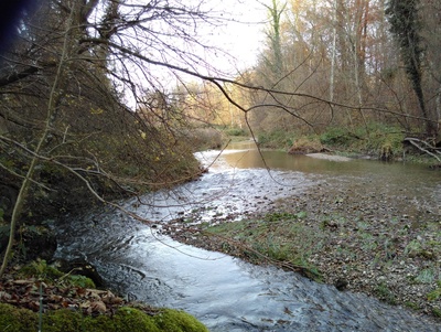 Immersion dans la nature proche