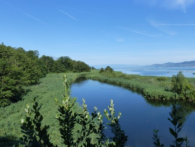 Visite guidée des Grangettes