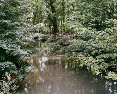 Atelier "rivière vivante"