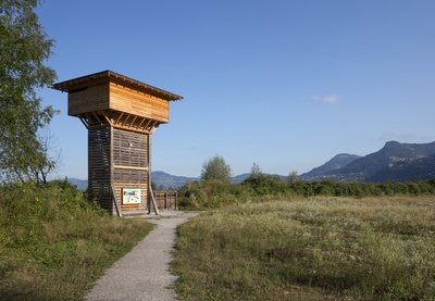 Visite guidée de la réserve naturelle des Grangettes