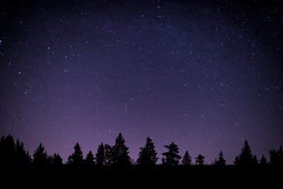 Sortie nocturne pour écouter les bruits de la nuit
