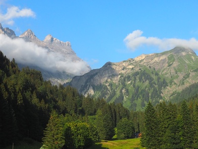 A l'écoute et à la découverte de la forêt de Cergnement (près de La Barboleuse)