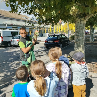 Balade sur le patrimoine arboré de Rolle Ouest