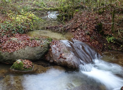 Découverte des lieux énergétiques, telluriques et magiques de nos régions – Géobiologie