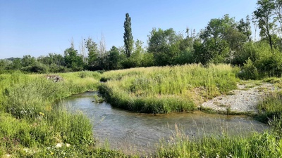 En nature avec le COF !